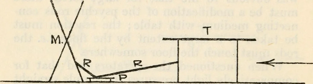 An illustration from Experiments in psychical science : levitation, contact, and the direct voice, 1919, leaf 75