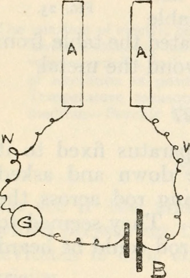 An illustration from Experiments in psychical science : levitation, contact, and the direct voice, 1919, leaf 97