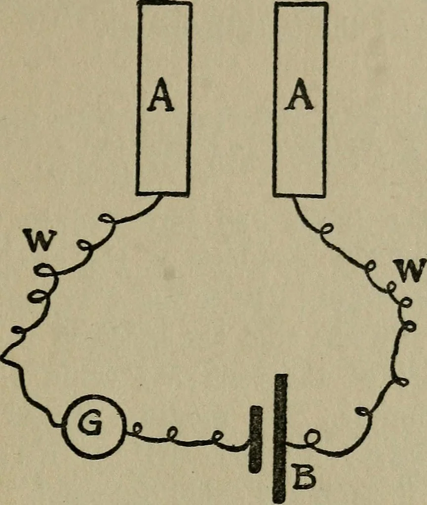 An illustration from Experiments in psychical science : levitation, contact, and the direct voice, 1919, leaf 105