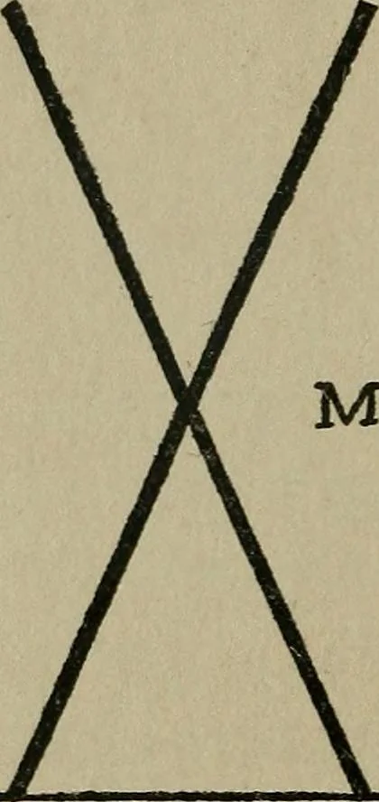An illustration from Experiments in psychical science : levitation, contact, and the direct voice, 1919, leaf 22