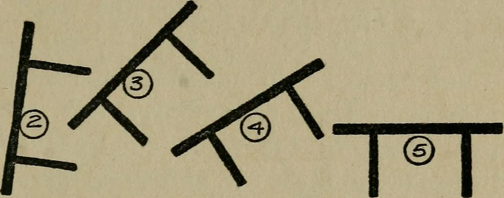 An illustration from Experiments in psychical science : levitation, contact, and the direct voice, 1919, leaf 23