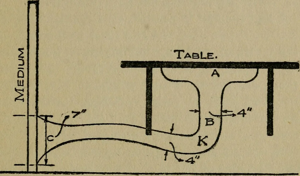 An illustration from Experiments in psychical science : levitation, contact, and the direct voice, 1919, leaf 29