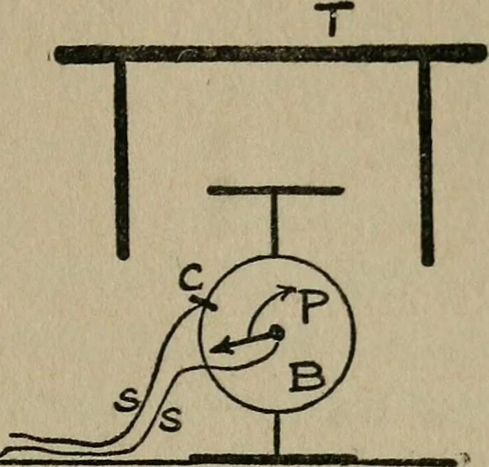 An illustration from Experiments in psychical science : levitation, contact, and the direct voice, 1919, leaf 59