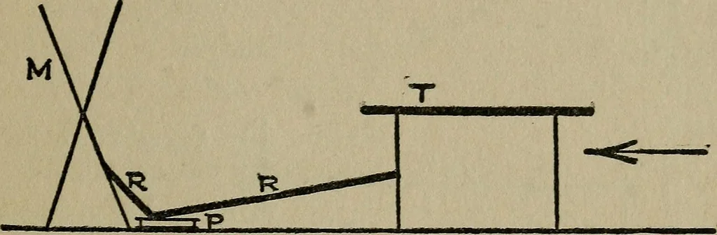 An illustration from Experiments in psychical science : levitation, contact, and the direct voice, 1919, leaf 81