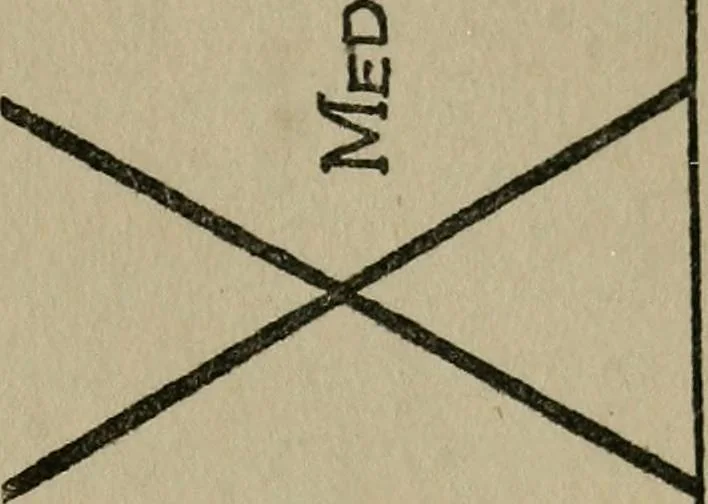 An illustration from Experiments in psychical science : levitation, contact, and the direct voice, 1919, leaf 83