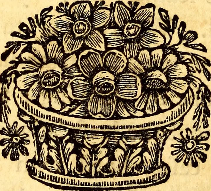 An illustration from Experiments and observations on electricity : made at Philadelphia in America, 1751, leaf 29