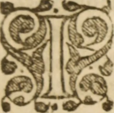 An illustration from An exposition of the lawes of Moses : viz., morall, ceremoniall, iudiciall ... the second volume .., 1632, leaf 252