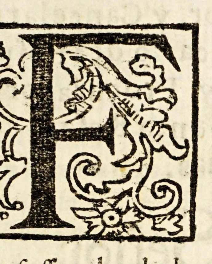 An illustration from Explicacion de las sesenta, y cinco proposiciones prohibidas por la santidad de N.M.S.P. Innocencio XI. Mandadas publicar por el Excellentissimo Señor don Diego Sarmiento de Valladares, obispo inquisidor general, y publicadas por el Santo Tribunal de la Inquisicion de esta Nueva España en siete de abril de mil seiscientos, y ochenta., 1684, leaf 13