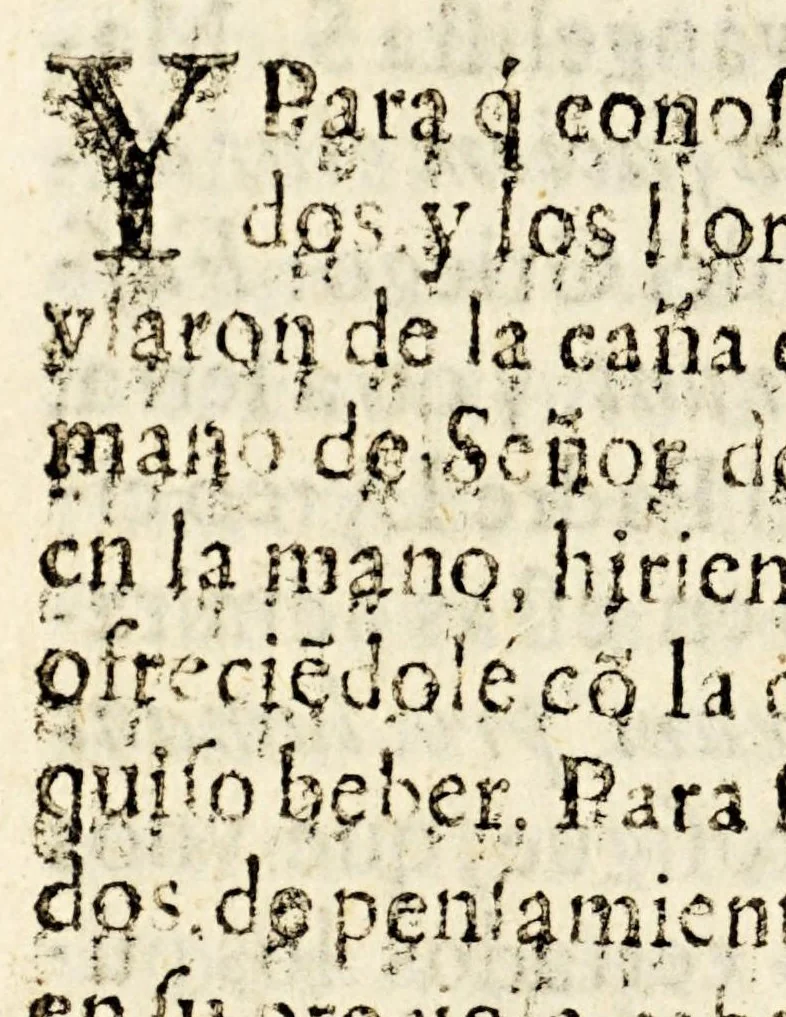 An illustration from Explicacion de los passos de la passion, que estan en el altar del santo eccehomo en el Collegio de S. Pedro, y S. Pablo de la Compañia de Jesus de esta ciudad, con algunas devotas meditaciones., 1697, leaf 204