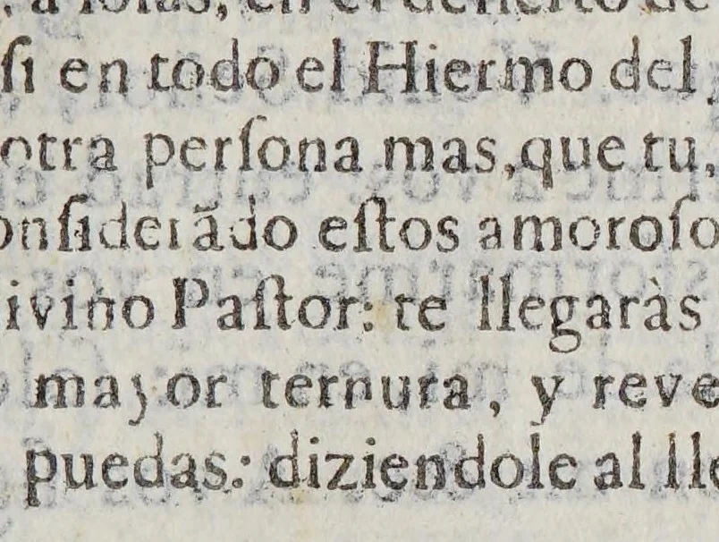 An illustration from Explicacion mystica de la regla 18. de la Congregacion de la Purissima que es de la confession, y comunion. : Con vna theorica, y practica de los medios, que mas facilitan su frequente, y bien aprovechado vso: varias meditaciones y oraciones bocales al proposito. Recogida en suma de varios papeles, y platicas de la purissima, por el mismo padre perfecto., 1684, leaf 221
