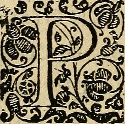 An illustration from Explicação do Salmo cincoenta: : feita a rogo da Madre Dona Isabel de Sancto Antonio, ou de Lima., 1629, leaf 137