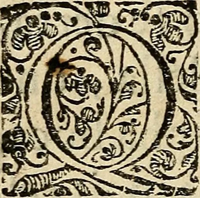 An illustration from Explicação do Salmo cincoenta: : feita a rogo da Madre Dona Isabel de Sancto Antonio, ou de Lima., 1629, leaf 319