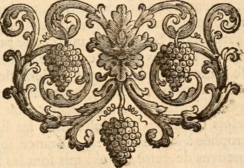 An illustration from Explication de divers monumens singuliers, qui ont rapport a la religion des plus anciens peuples : avec l'examen de la derniere edition des ouvrages de S. Jerôme, & un traité sur l'astrologie judiciaire : ouvrage enrichi de figures en taille-douce, 1739, leaf 399