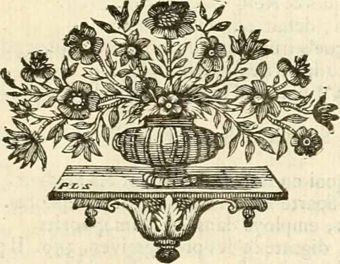 An illustration from Explication de divers monumens singuliers, qui ont rapport a la religion des plus anciens peuples : avec l'examen de la derniere edition des ouvrages de S. Jerôme, & un traité sur l'astrologie judiciaire : ouvrage enrichi de figures en taille-douce, 1739, leaf 564