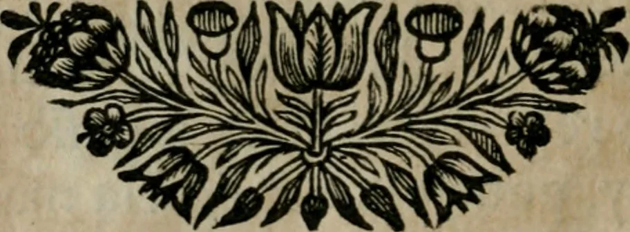 An illustration from Explication des tableaux de la galerie de Versailles et de ses deux sallons, 1687, leaf 75