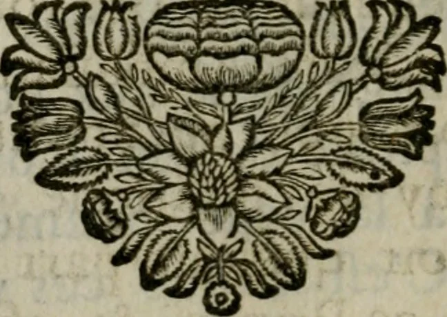 An illustration from Explication des tableaux de la galerie de Versailles et de ses deux sallons, 1687, leaf 81