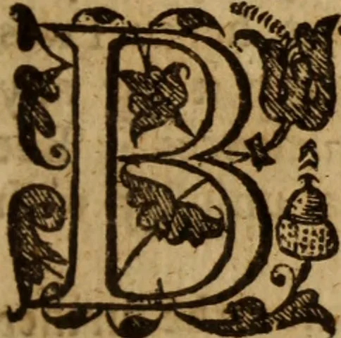 An illustration from An explication of some passages in the foregoing propositions and profession : with an answer to some objections that are like to be made against them, 1653, leaf 152