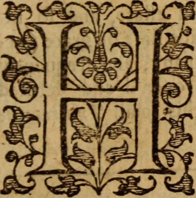 An illustration from An explication of some passages in the foregoing propositions and profession : with an answer to some objections that are like to be made against them, 1653, leaf 206