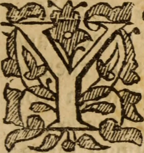 An illustration from An explication of some passages in the foregoing propositions and profession : with an answer to some objections that are like to be made against them, 1653, leaf 252
