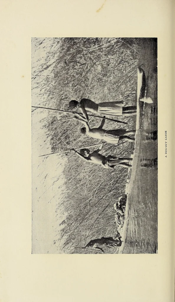 An illustration from Exploration and hunting in central Africa 1895-96, 1898, leaf 158