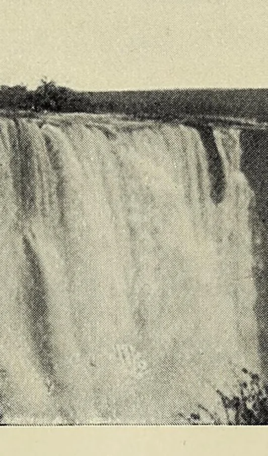 An illustration from Exploration and hunting in central Africa 1895-96, 1898, leaf 221