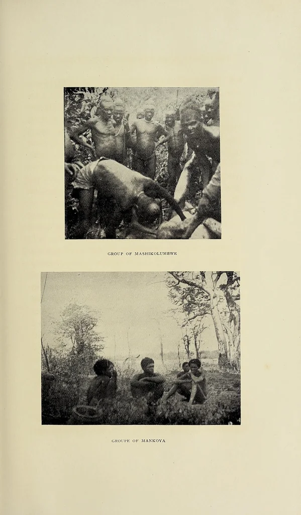 An illustration from Exploration and hunting in central Africa 1895-96, 1898, leaf 287