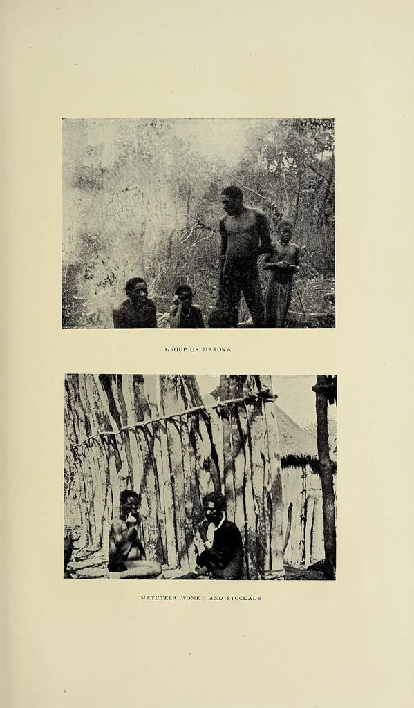 An illustration from Exploration and hunting in central Africa 1895-96, 1898, leaf 387