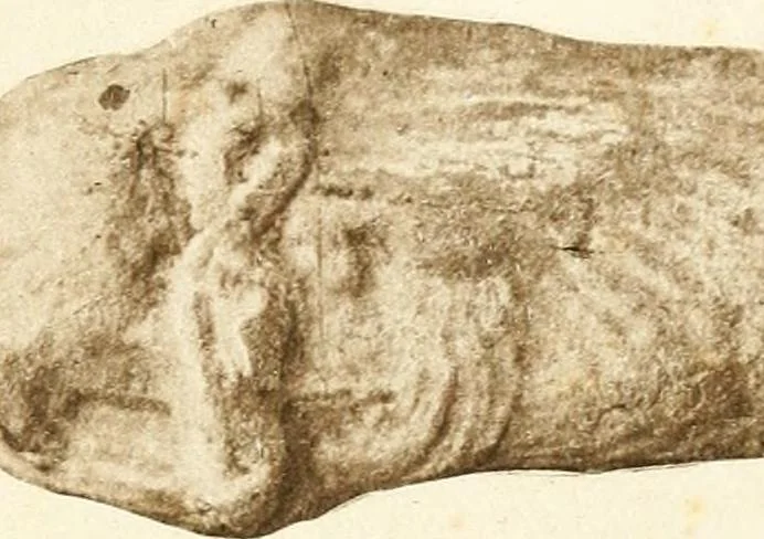 An illustration from Explorations épigraphiques et archéologiques en Tunisie, 1883, leaf 168