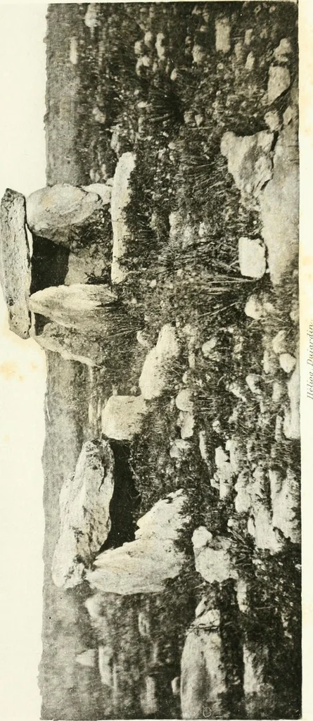 An illustration from Explorations épigraphiques et archéologiques en Tunisie, 1883, leaf 172
