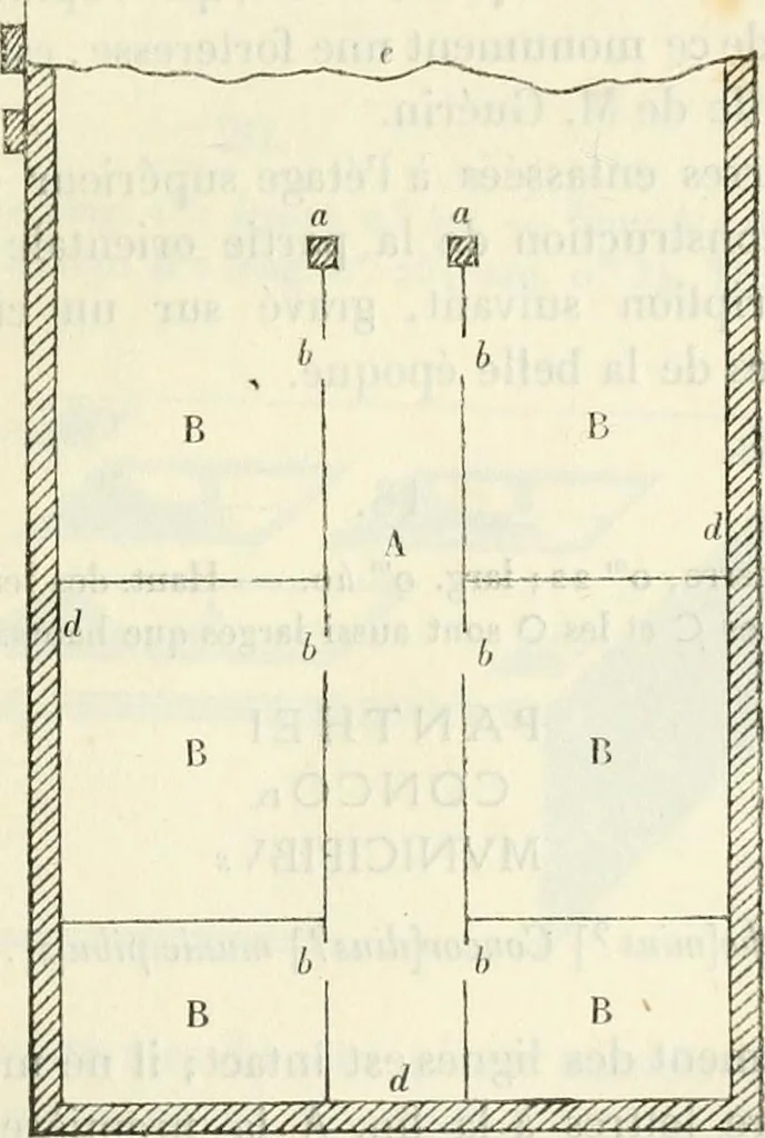 An illustration from Explorations épigraphiques et archéologiques en Tunisie, 1883, leaf 22