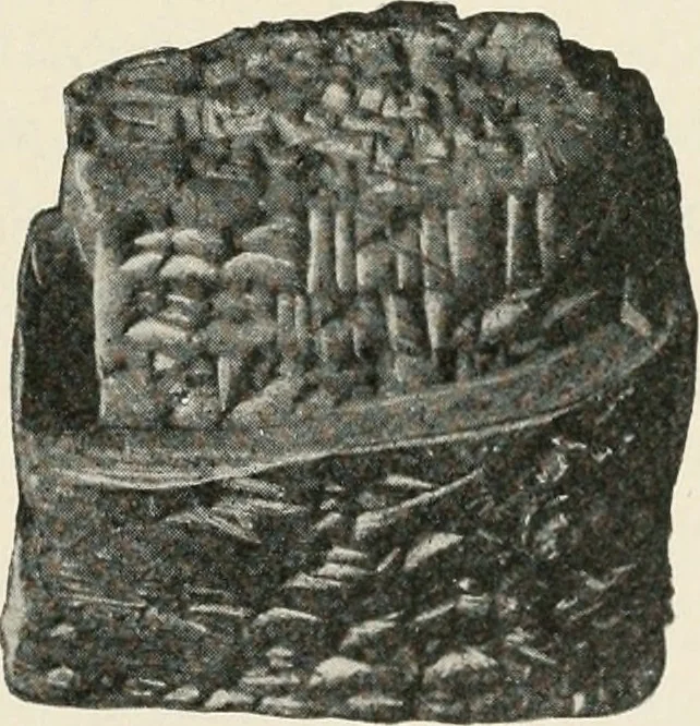 An illustration from Explorations in Bible lands during the 19th century, 1903, leaf 196