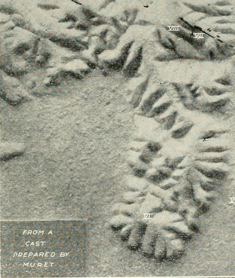 An illustration from Explorations in Bible lands during the 19th century, 1903, leaf 354