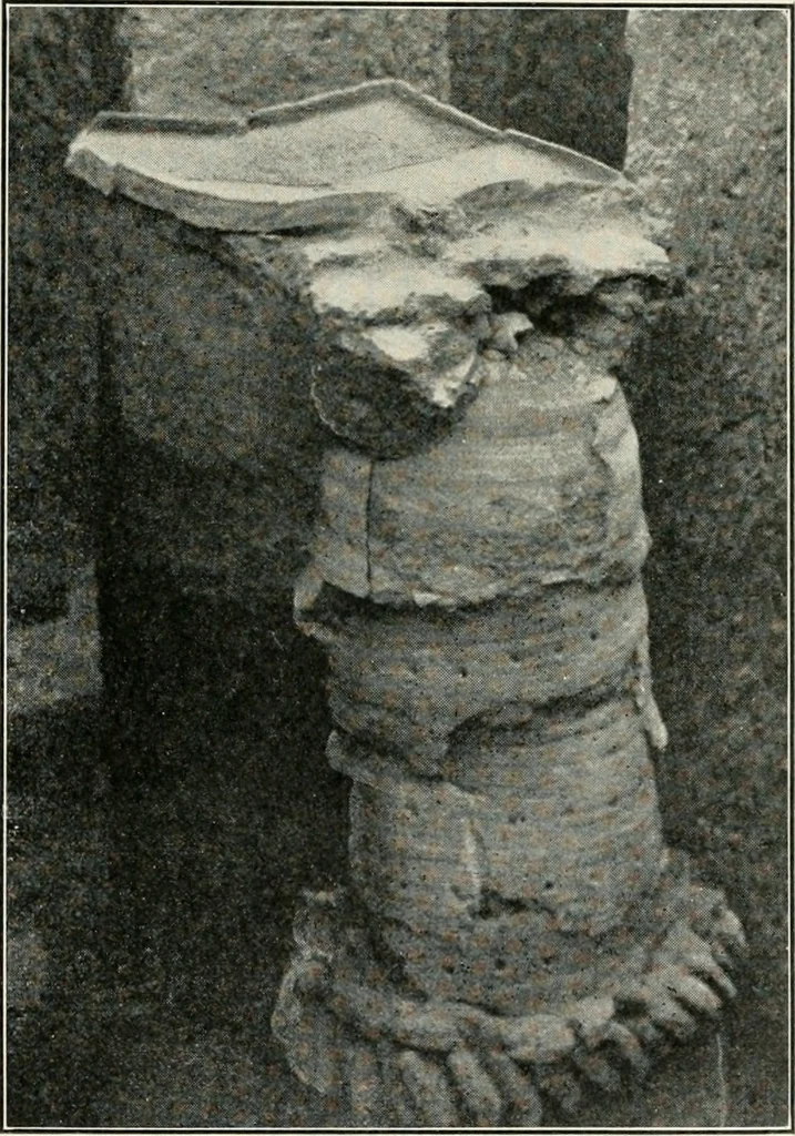 An illustration from Explorations in Bible lands during the 19th century, 1903, leaf 484