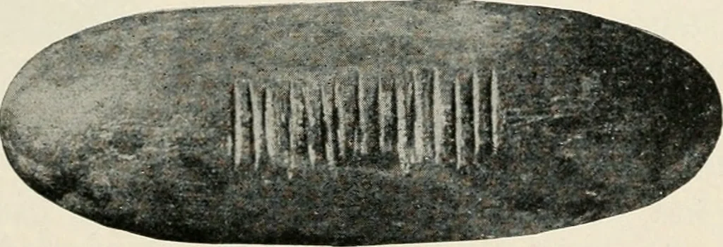 An illustration from Explorations in Bible lands during the 19th century, 1903, leaf 498