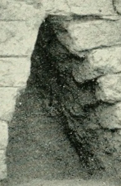 An illustration from Explorations in Bible lands during the 19th century, 1903, leaf 505
