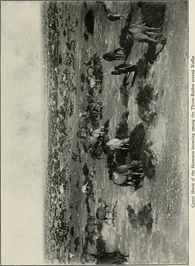 An illustration from Explorations in Bible lands during the 19th century, 1903, leaf 526