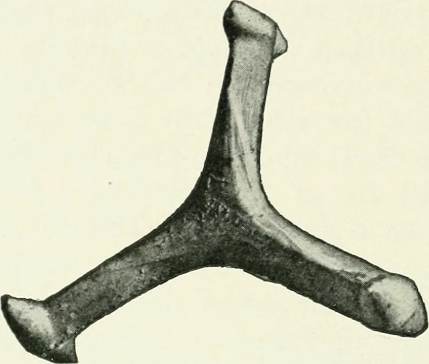 An illustration from Explorations in Bible lands during the 19th century, 1903, leaf 587