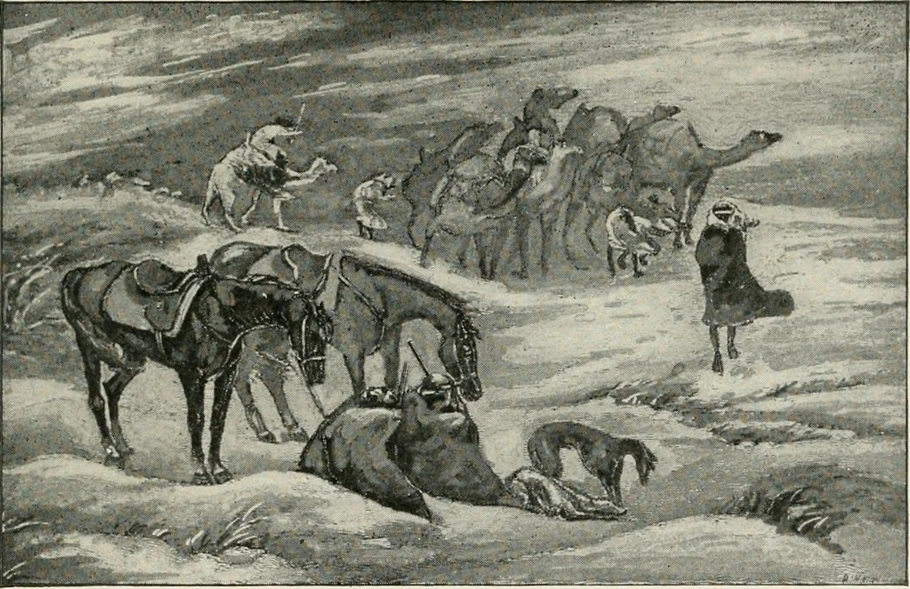 An illustration from Explorations in Bible lands during the 19th century, 1903, leaf 824