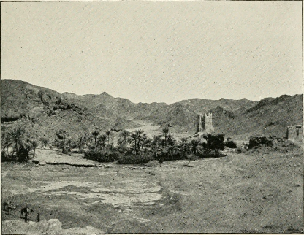 An illustration from Explorations in Bible lands during the 19th century, 1903, leaf 850