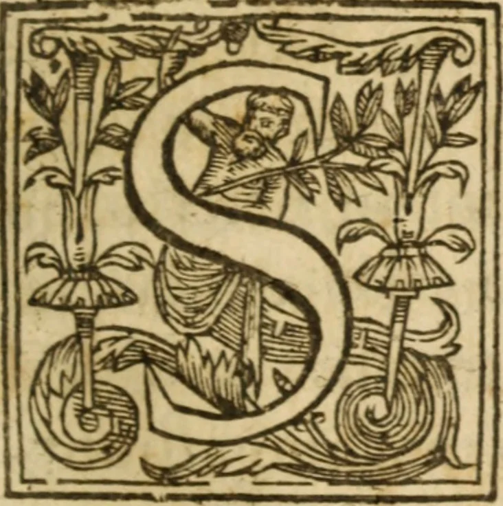 An illustration from An exposition of the morall law, or, Ten commandements of almightie God : set downe by way of exercitations .., 1632, leaf 296
