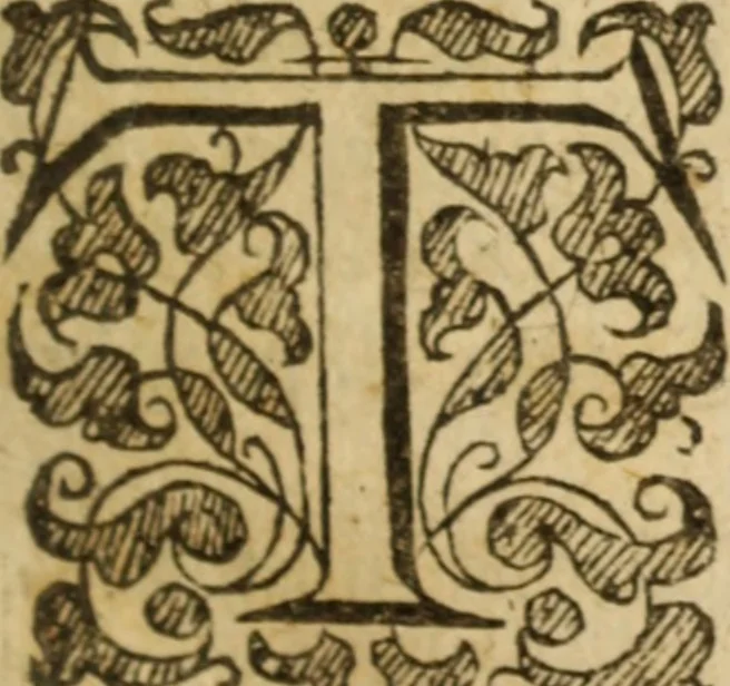 An illustration from An exposition of the morall law, or, Ten commandements of almightie God : set downe by way of exercitations .., 1632, leaf 36