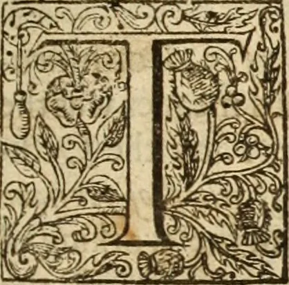 An illustration from An exposition vpon the Epistle to the Colossians : wherein, not onely the text is methodically analysed, and the sence of the words, by the help of writers, both ancient and moderne is explayned : but also, by doctrine and vse, the intent of the Holy Ghost is in euery place more fully vnfolded and vrged : and besides, the very marrow of most common-places is aptly diffused throughout the body of this exposition, as the nature of this kinde of teaching would beare : and further, many chiefe cases of conscience are here resolued : being, the substance of neare seuen yeeres weeke-dayes sermons, 1617, leaf 18