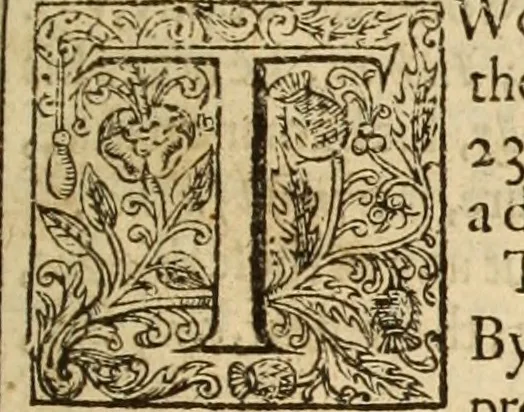 An illustration from An exposition vpon the Epistle to the Colossians : wherein, not onely the text is methodically analysed, and the sence of the words, by the help of writers, both ancient and moderne is explayned : but also, by doctrine and vse, the intent of the Holy Ghost is in euery place more fully vnfolded and vrged : and besides, the very marrow of most common-places is aptly diffused throughout the body of this exposition, as the nature of this kinde of teaching would beare : and further, many chiefe cases of conscience are here resolued : being, the substance of neare seuen yeeres weeke-dayes sermons, 1617, leaf 214