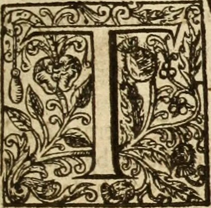 An illustration from An exposition vpon the Epistle to the Colossians : wherein, not onely the text is methodically analysed, and the sence of the words, by the help of writers, both ancient and moderne is explayned : but also, by doctrine and vse, the intent of the Holy Ghost is in euery place more fully vnfolded and vrged : and besides, the very marrow of most common-places is aptly diffused throughout the body of this exposition, as the nature of this kinde of teaching would beare : and further, many chiefe cases of conscience are here resolued : being, the substance of neare seuen yeeres weeke-dayes sermons, 1617, leaf 34
