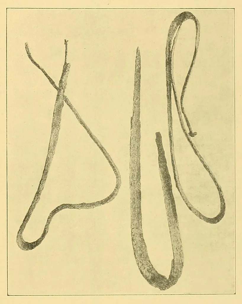 An illustration from Exposición de hierros antiguos españoles; catálogo por Pedro Miguel de Artiñano y Galdácano, 1919, leaf 115