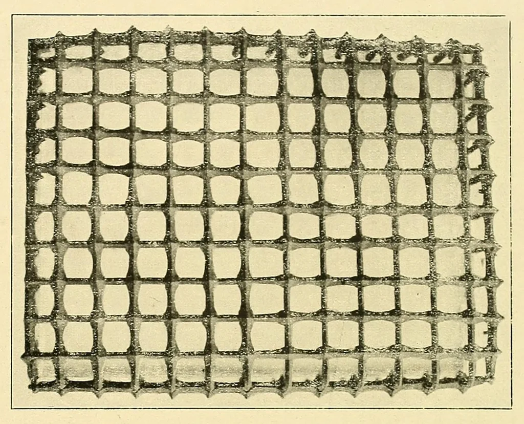 An illustration from Exposición de hierros antiguos españoles; catálogo por Pedro Miguel de Artiñano y Galdácano, 1919, leaf 205