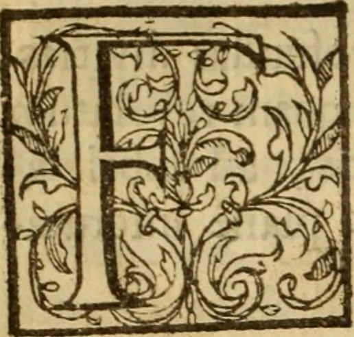 An illustration from Expositio analytica omnium Apostolicarum Epistolarum, seu, Brevis introductio ad pleniores commentarios : in usum studiosorum theologiae, 1647, leaf 113