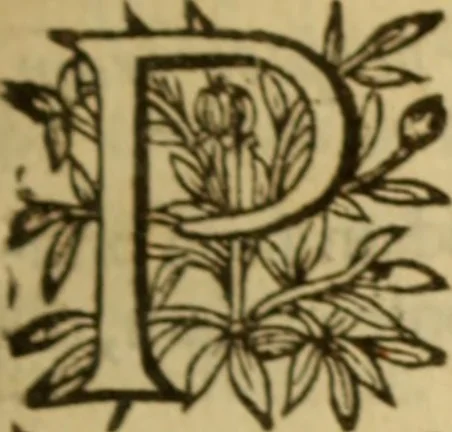 An illustration from Expositio analytica omnium Apostolicarum Epistolarum, seu, Brevis introductio ad pleniores commentarios : in usum studiosorum theologiae, 1647, leaf 120