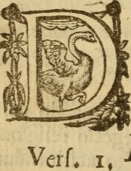 An illustration from Expositio analytica omnium Apostolicarum Epistolarum, seu, Brevis introductio ad pleniores commentarios : in usum studiosorum theologiae, 1647, leaf 129