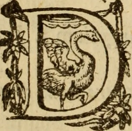 An illustration from Expositio analytica omnium Apostolicarum Epistolarum, seu, Brevis introductio ad pleniores commentarios : in usum studiosorum theologiae, 1647, leaf 135